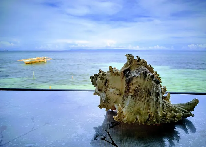 Ocean View House Couette-café 2*